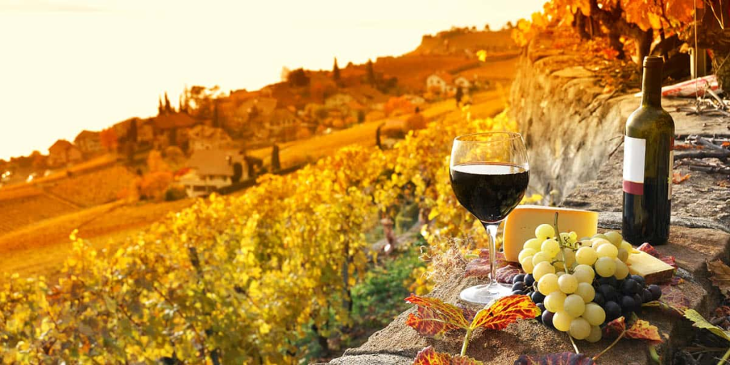 4 Wine Marketing Ideas to Try This Spring